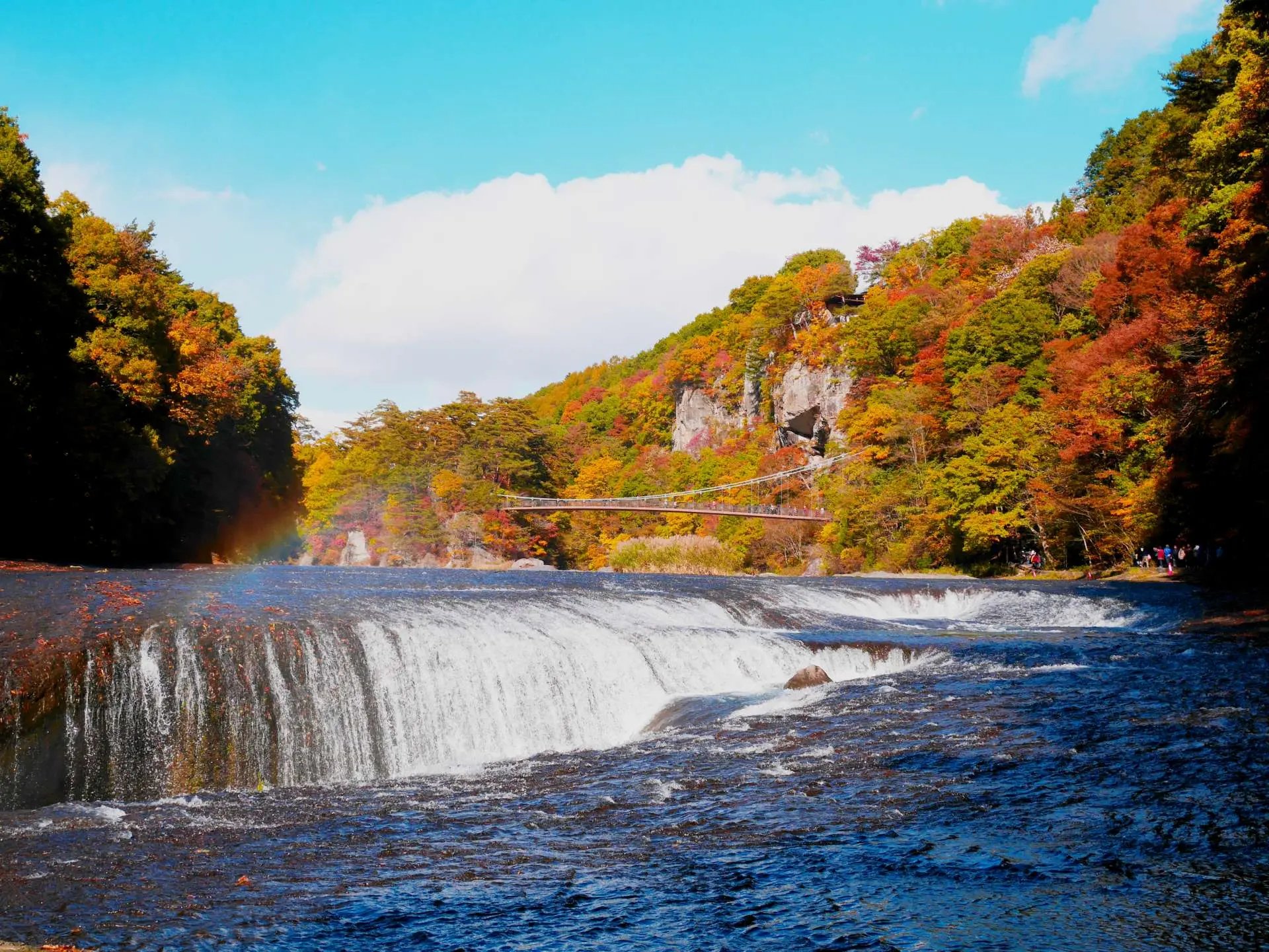 🏞️ 누마타 공원(누마타 코엔) 이미지 1